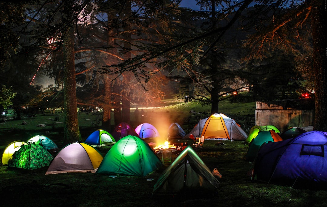 Top-down view of a small private campsite with tents and a firepit in a forest clearing