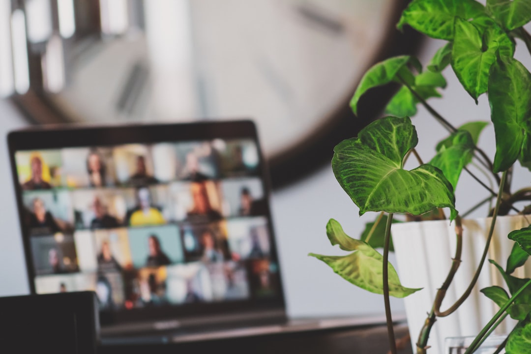 Remote freelancer in an online meeting with a client
