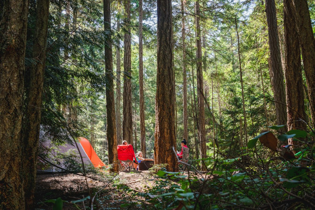 Group of hunters at a forest camp discussing plans on leased land